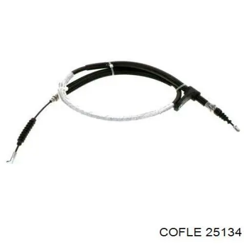 25134 Cofle