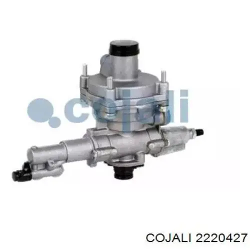 2220427 Cojali 
