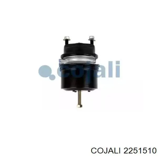 Купить 9254800100 Wabco Камера тормозная (энергоаккумулятор)