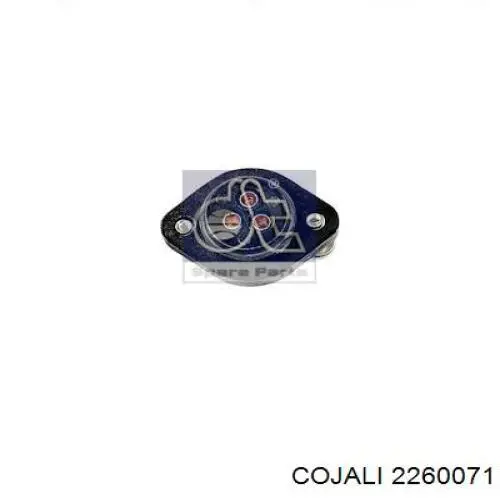Купить 2260071 Cojali 