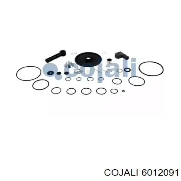 Ремкомплект регулятора давления тормозов (регулятора тормозных сил) Cojali 6012091