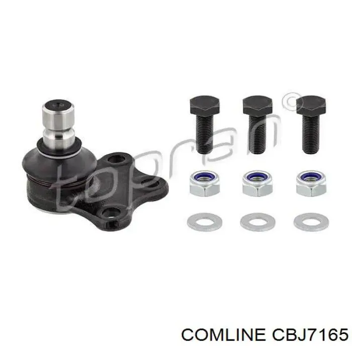Шаровая опора, нижняя Comline CBJ7165 цена, от 9.70 USD