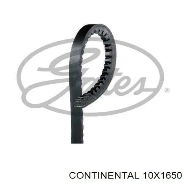 10X1650 Continental/Siemens Поликлиновый ремень