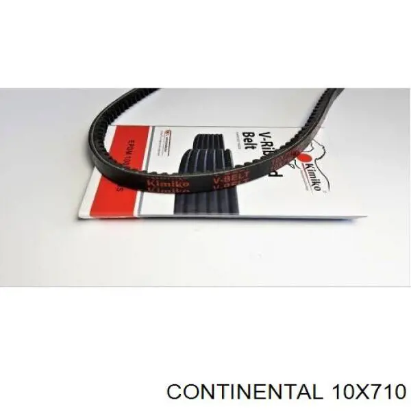 10X710 Continental/Siemens