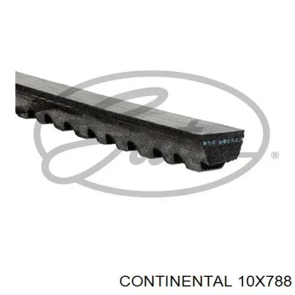Ремень генератора 10X788 Continental/Siemens