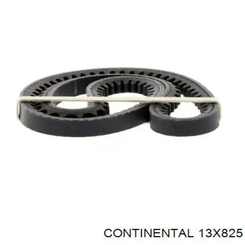 Купить 13X825 Continental/Siemens Ремень генератора