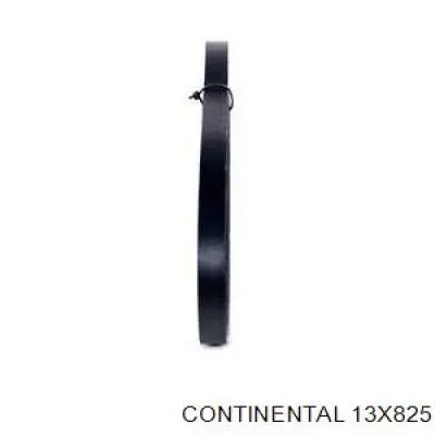 Клиновый ремень Continental/Siemens 13X825 цена, от 6.41 USD