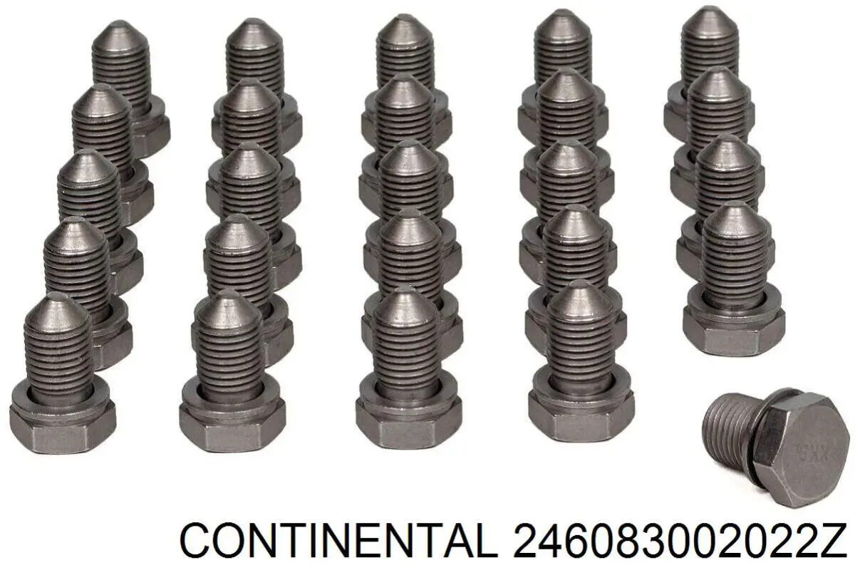 Двигатель омывателя стекла передний/задний Continental/Siemens 246083002022Z