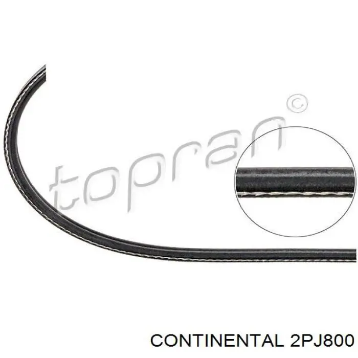 Клиновый ремень Continental/Siemens 2PJ800 цена, от 3.37 USD