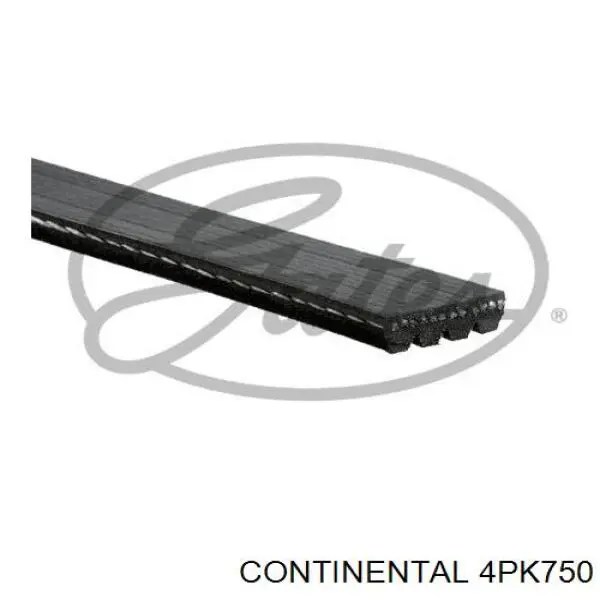 4PK750 Continental/Siemens correia dos conjuntos de transmissão