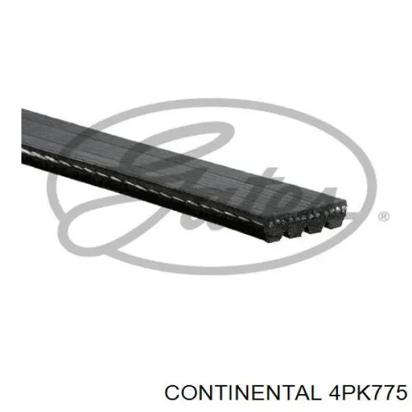Клиновый ремень Continental/Siemens 4PK775 цена, от 5.76 USD