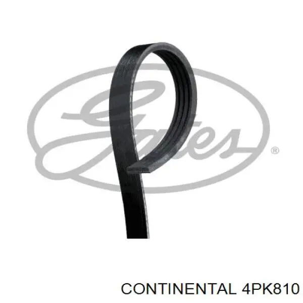 4PK810 Continental/Siemens ремень генератора