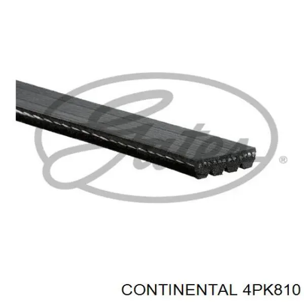 Correa trapezoidal 4PK810 Continental/Siemens