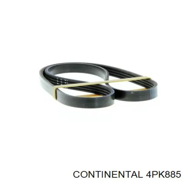 Купить 4PK885 Continental/Siemens Ремень генератора