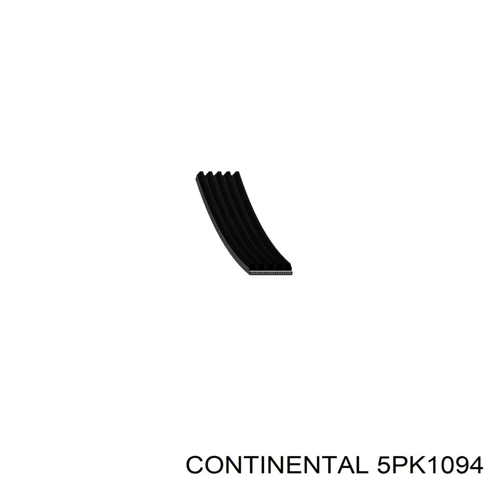 5PK1094 Continental/Siemens correia dos conjuntos de transmissão