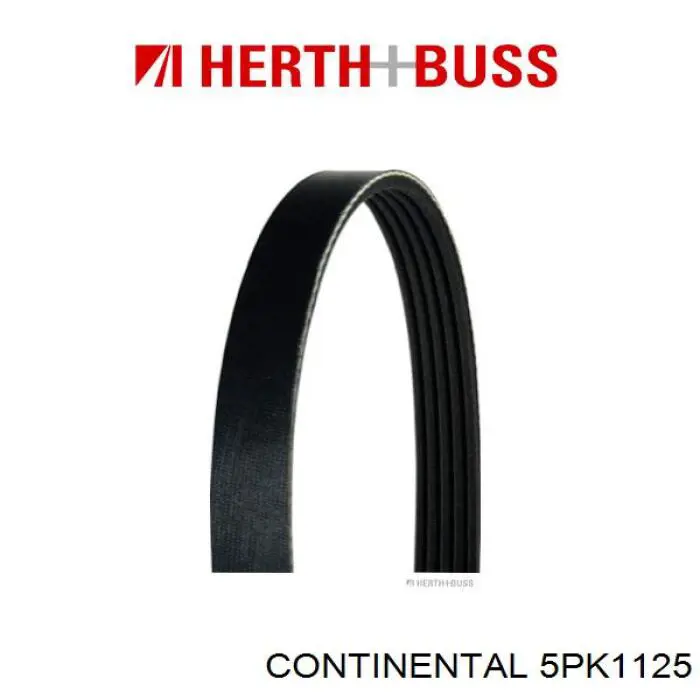 Клиновый ремень Continental/Siemens 5PK1125 цена, от 11.50 USD