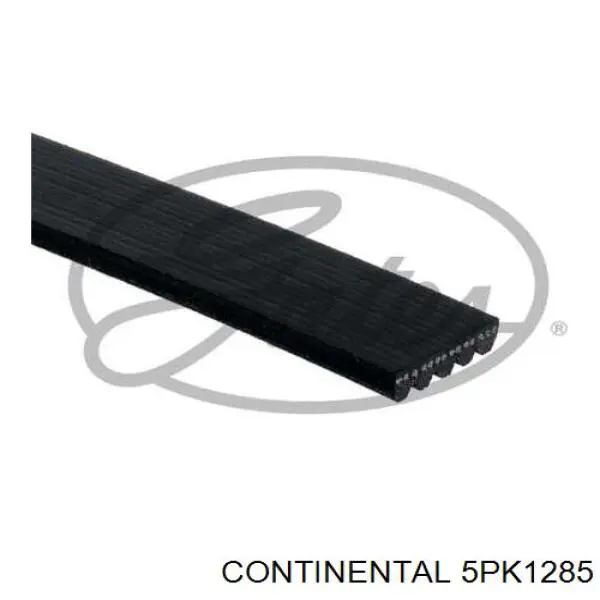 Клиновый ремень Continental/Siemens 5PK1285 цена, от 15.16 USD