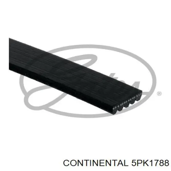 5PK1788 Continental/Siemens ремень генератора