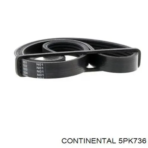 Ремень генератора 5PK736 Continental/Siemens