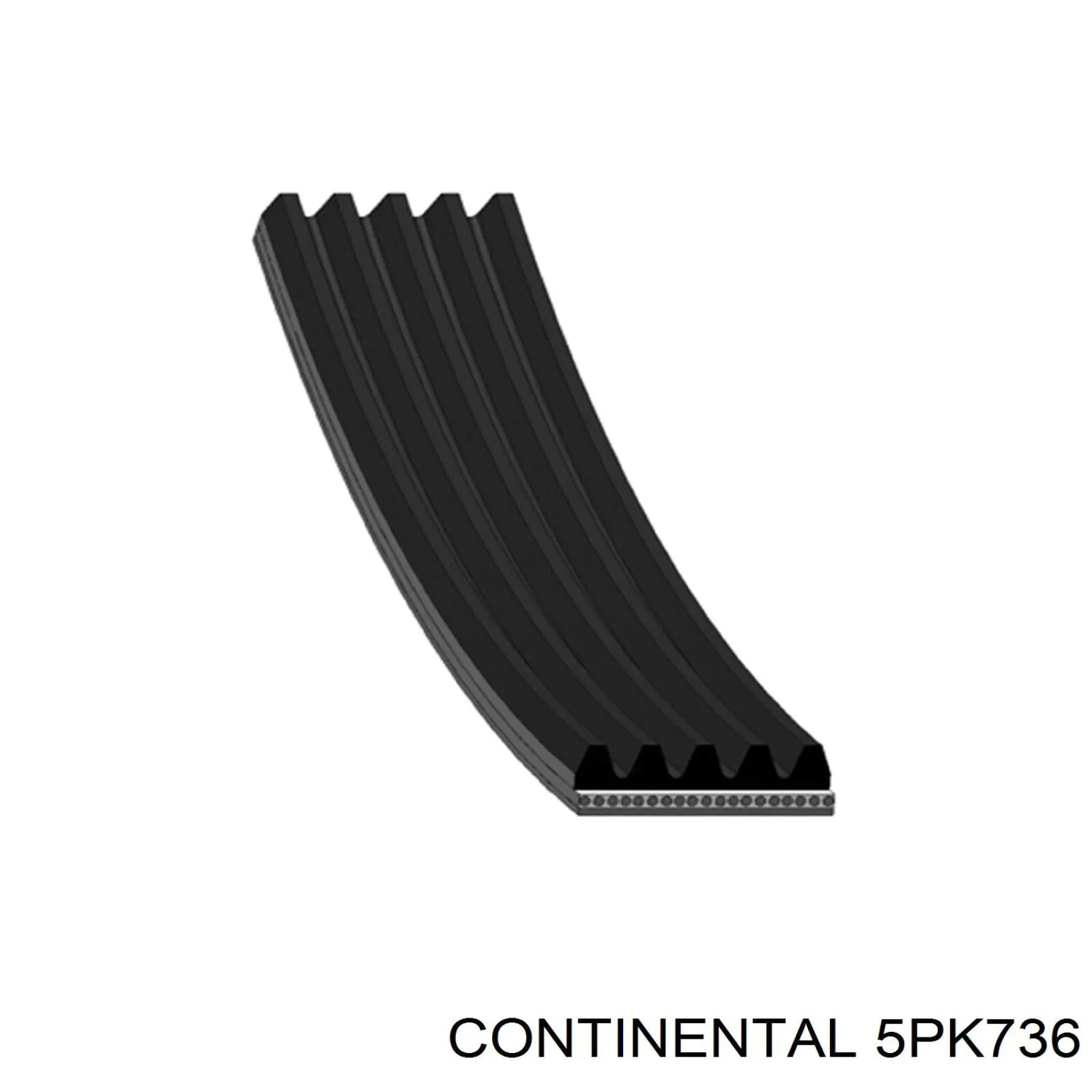 Correa trapezoidal 5PK736 Continental/Siemens