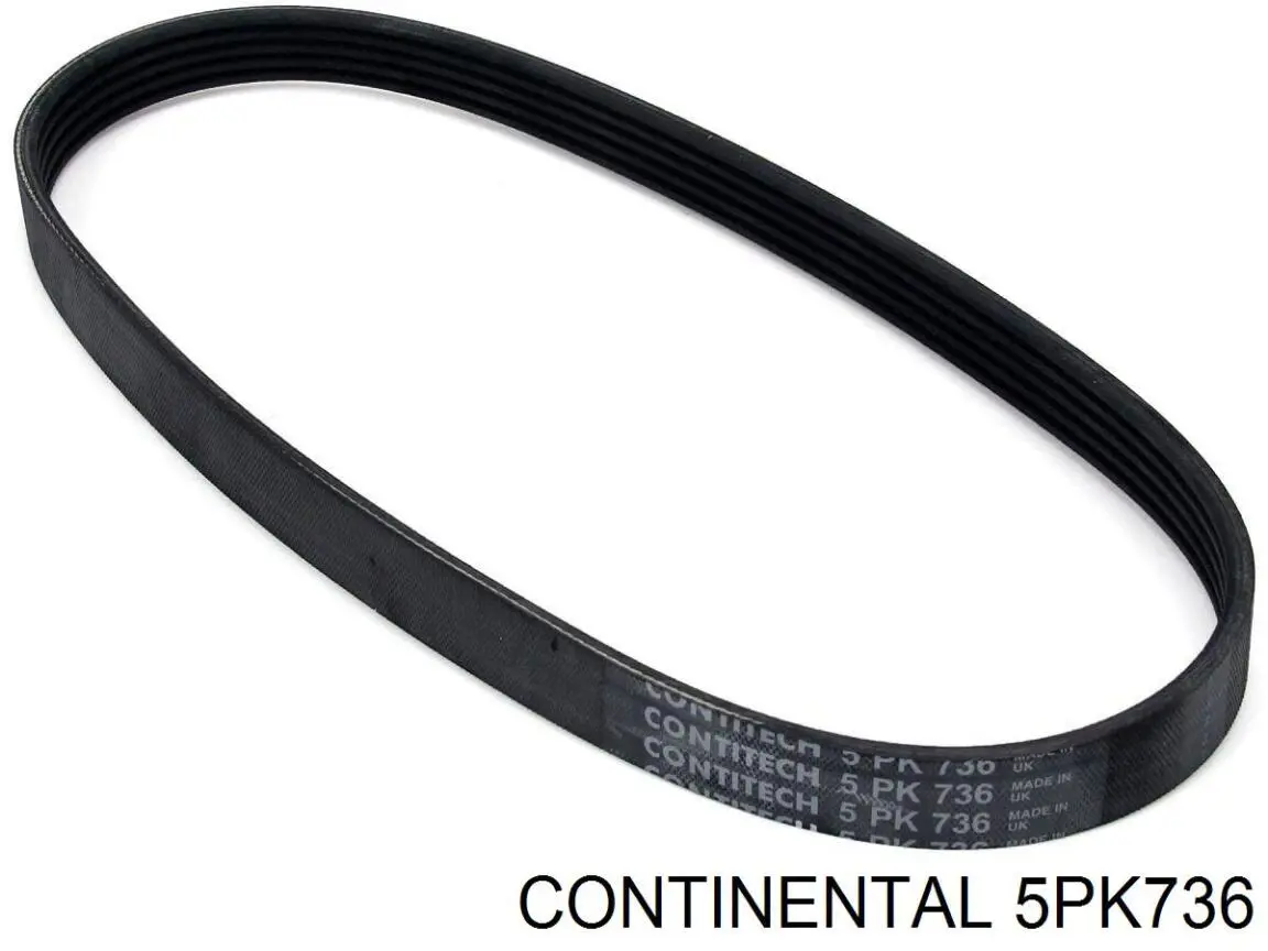 5PK736 Continental/Siemens Поликлиновый ремень