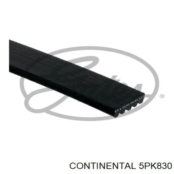 Клиновый ремень Continental/Siemens 5PK830 цена, от 9.55 USD