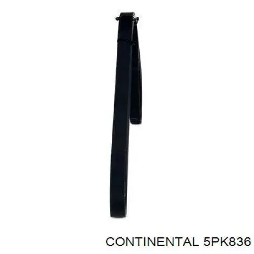 Клиновый ремень Continental/Siemens 5PK836 цена, от 9.55 USD