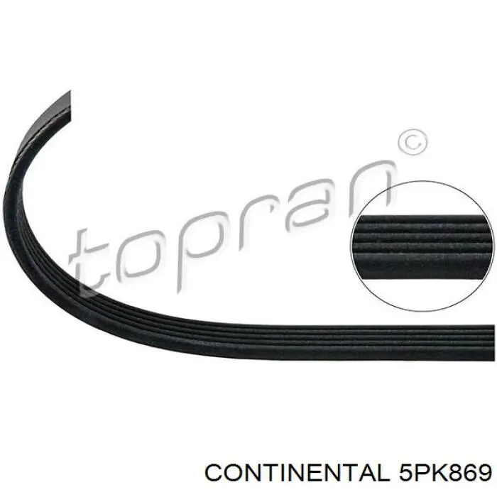 Клиновый ремень Continental/Siemens 5PK869 цена, от 5.85 USD