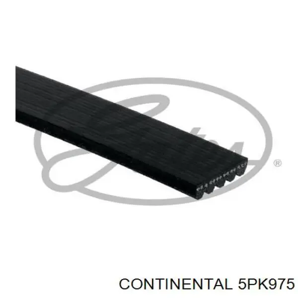 Correa trapezoidal 5PK975 Continental/Siemens