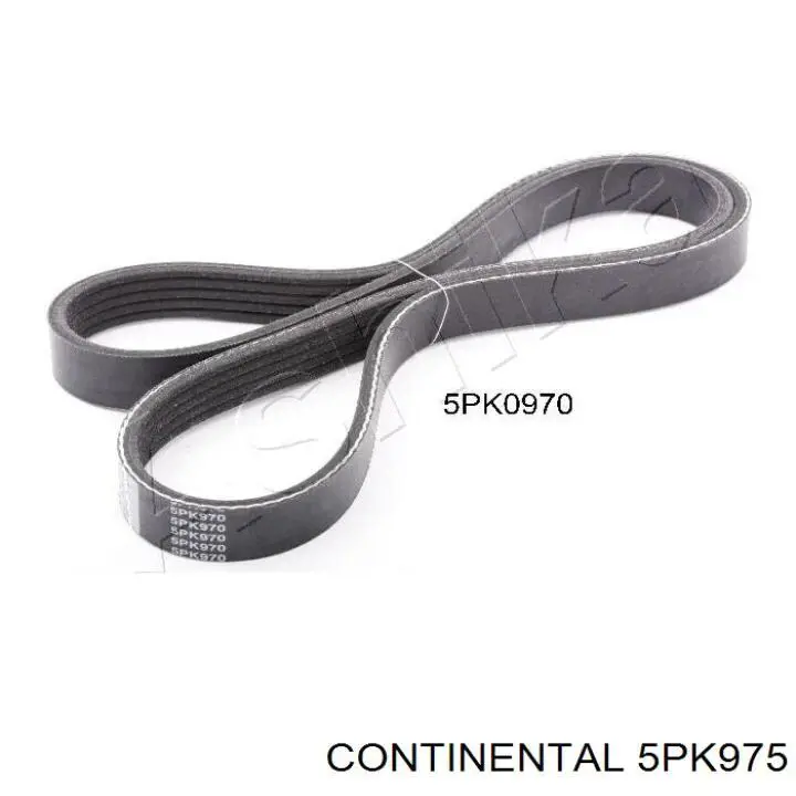 Клиновый ремень Continental/Siemens 5PK975 цена, от 9.92 USD