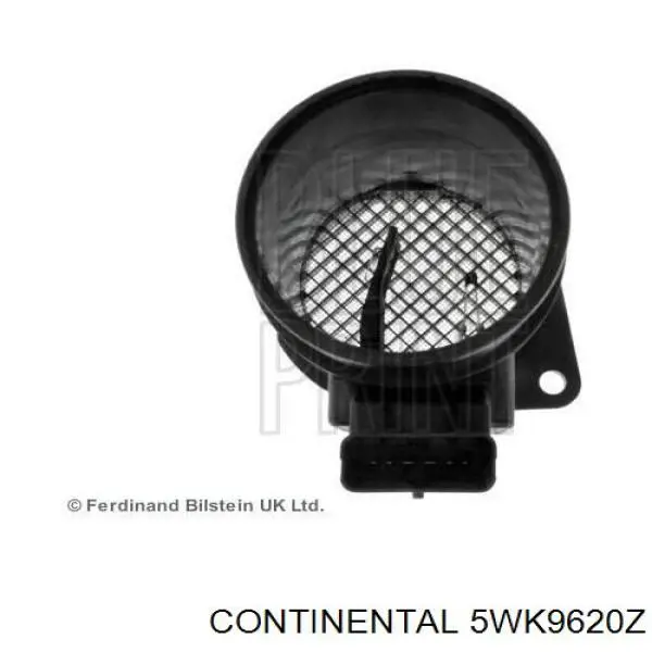 5WK9620Z Continental/Siemens