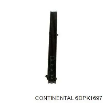 Купить 6DPK1697 Continental/Siemens Ремень генератора