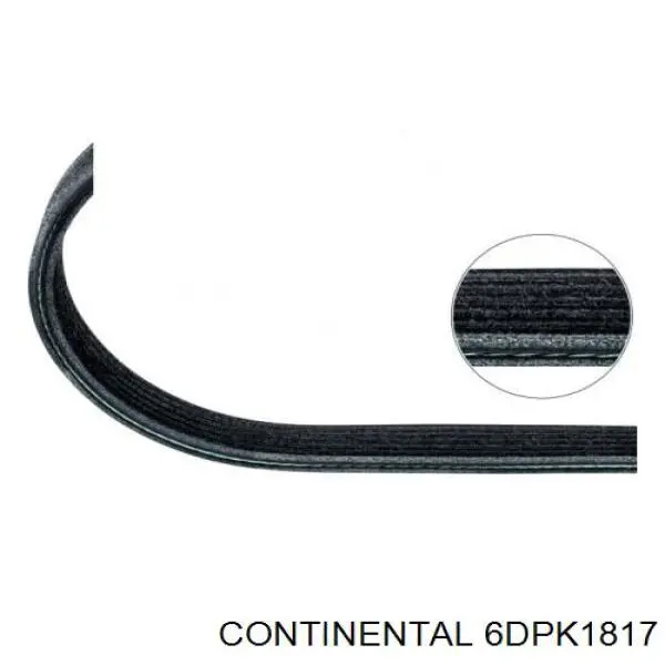 Купить 6DPK1817 Continental/Siemens Ремень генератора