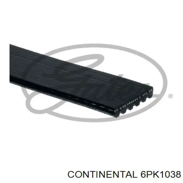 6PK1038 Continental/Siemens correia dos conjuntos de transmissão