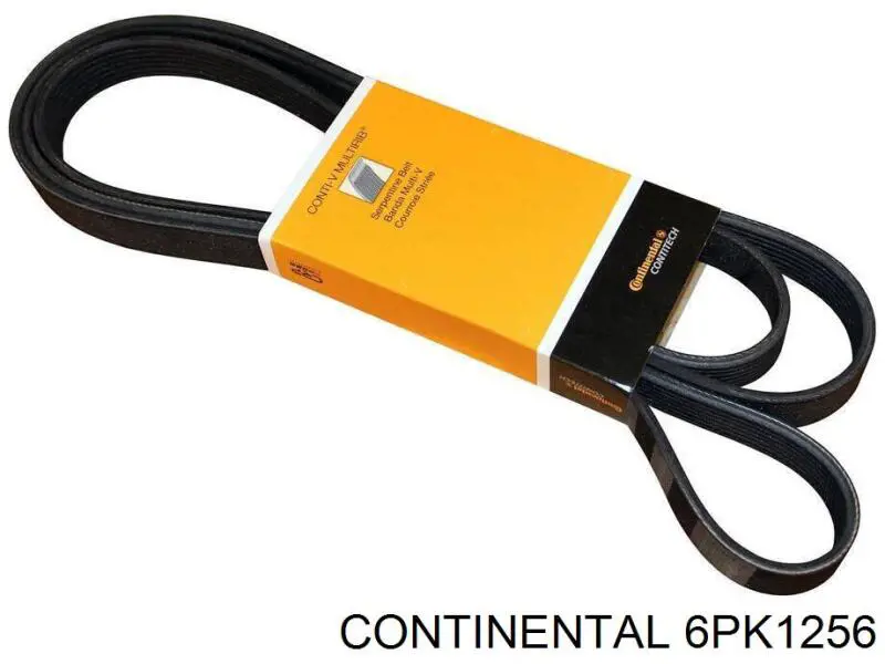 6PK1256 Continental correia dos conjuntos de transmissão