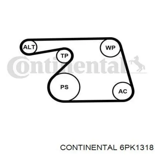 Correa trapezoidal 6PK1318 Continental/Siemens