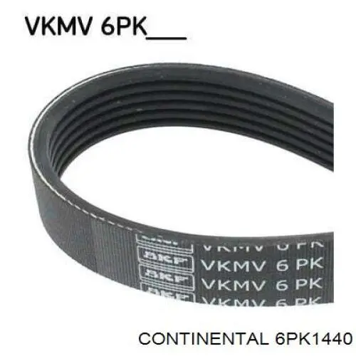 Клиновый ремень Continental/Siemens 6PK1440 цена, от 14.45 USD
