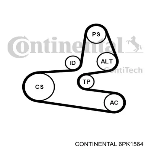 6PK1564 Continental correia dos conjuntos de transmissão