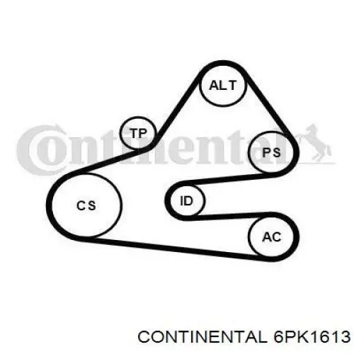 6PK1613 Continental/Siemens ремень генератора