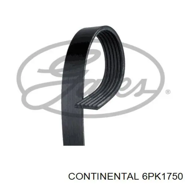 6PK1750 Continental correia dos conjuntos de transmissão