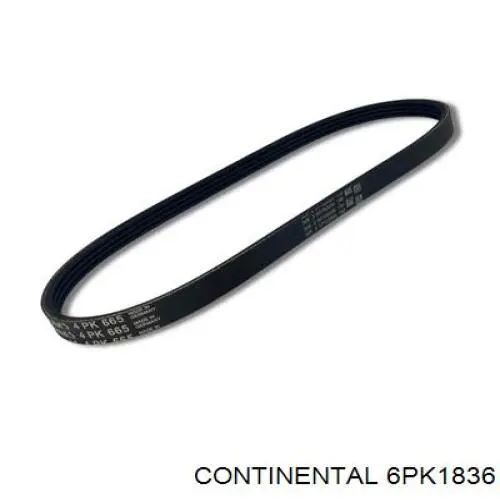 6PK1836 Continental/Siemens