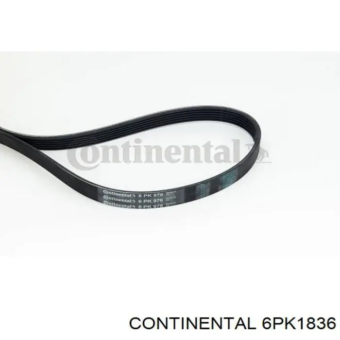 6PK1836 Continental/Siemens