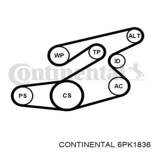 Купить 6PK1836 Continental/Siemens Ремень генератора