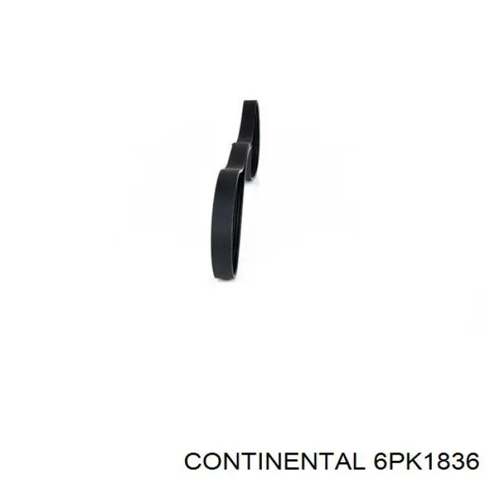 Ремень генератора 6PK1836 Continental/Siemens