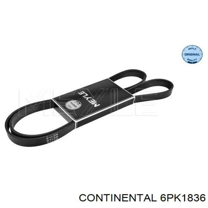 6PK1836 Continental/Siemens