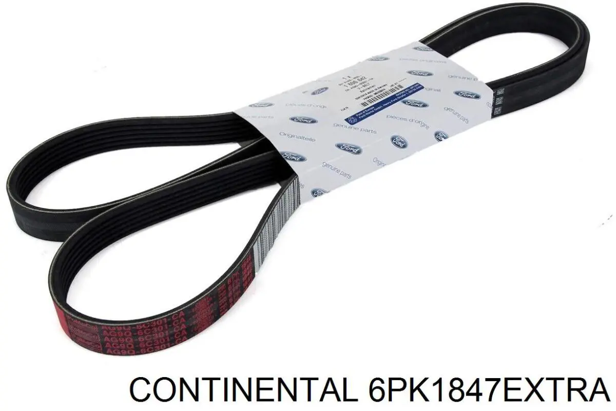 6PK1847 EXTRA Continental/Siemens correia dos conjuntos de transmissão