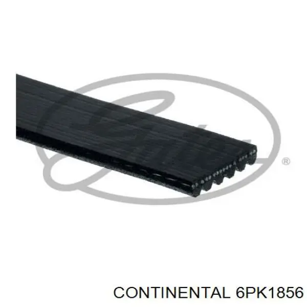 6PK1856 Continental/Siemens correia dos conjuntos de transmissão