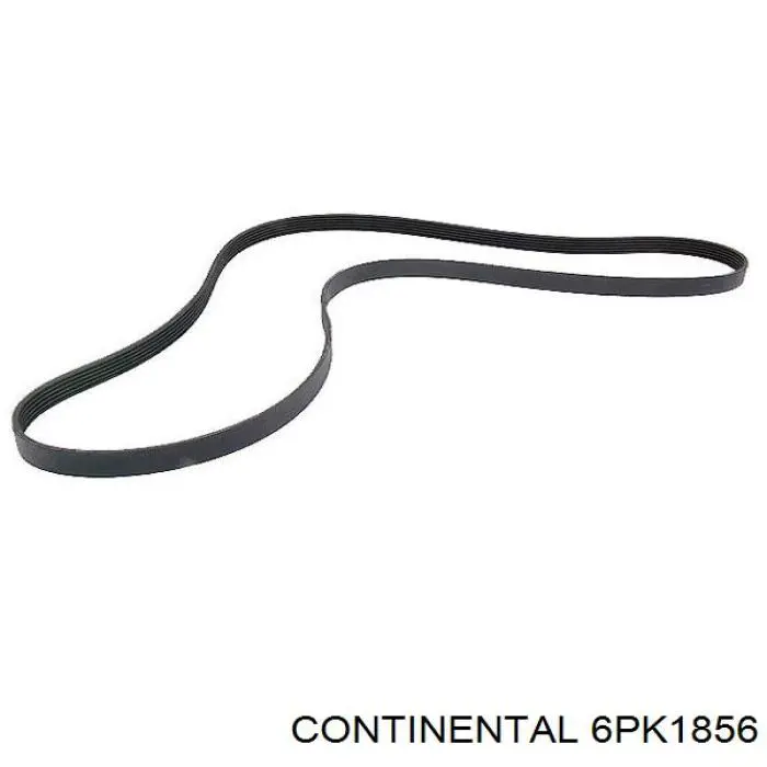 Купить 6PK1856 Continental/Siemens Ремень генератора