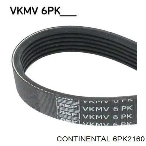 Клиновый ремень Continental/Siemens 6PK2160 цена, от 22.71 USD