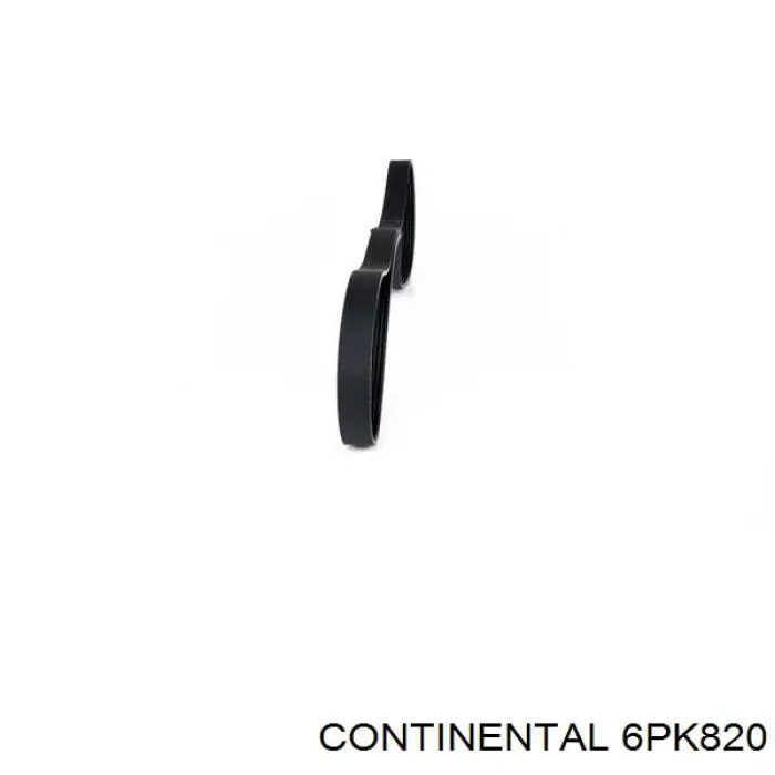 6PK820 Continental/Siemens correia dos conjuntos de transmissão